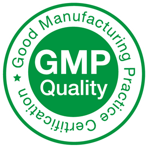 gmp logo