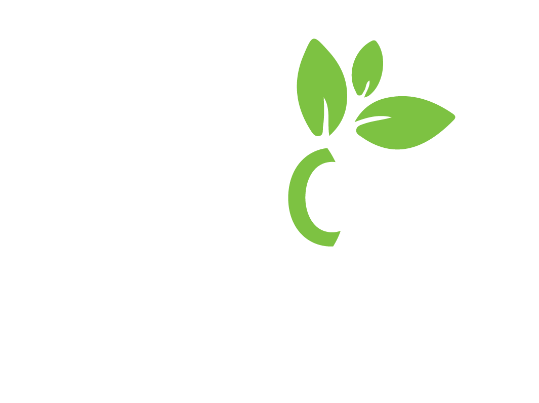 log mono uso